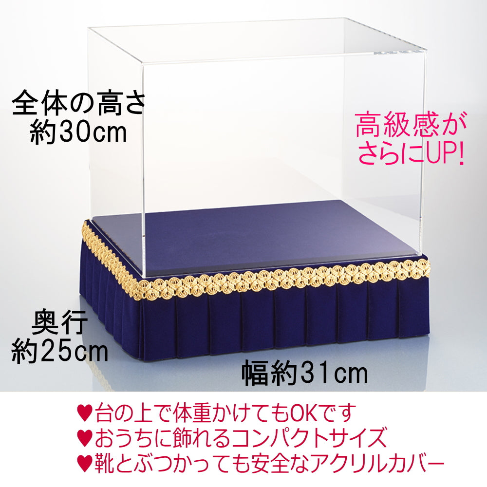 履けるガラスの靴・蝶々付き（右足）と専用ケース：ミュージアム